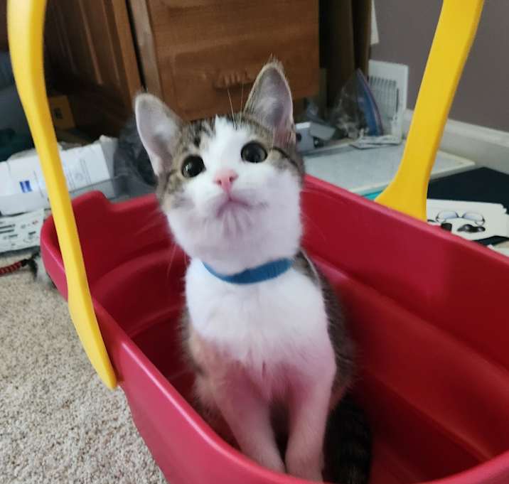 Photo of Jasper