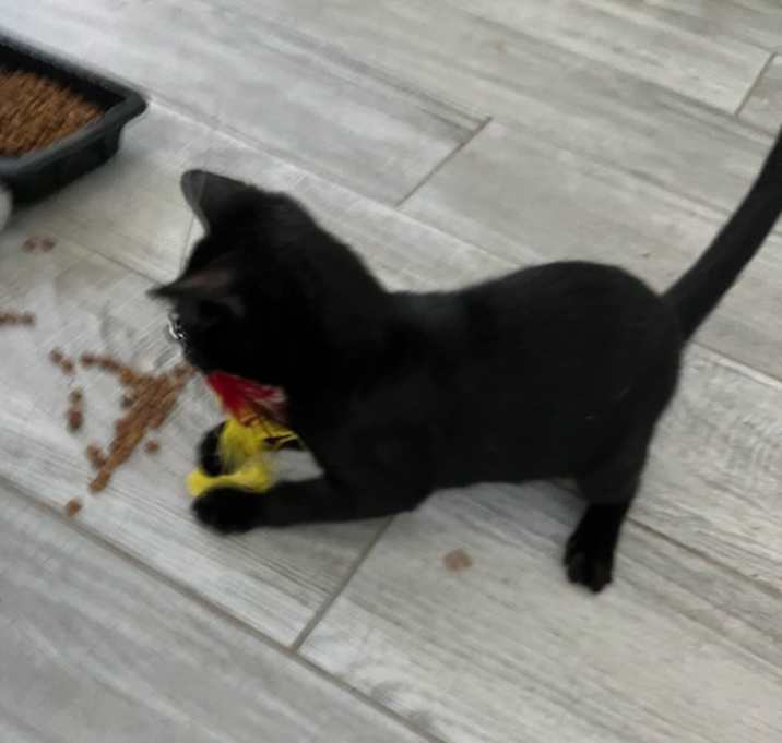 Photo of Stormy