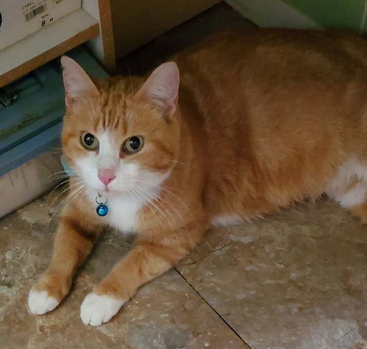 Photo of Abigail