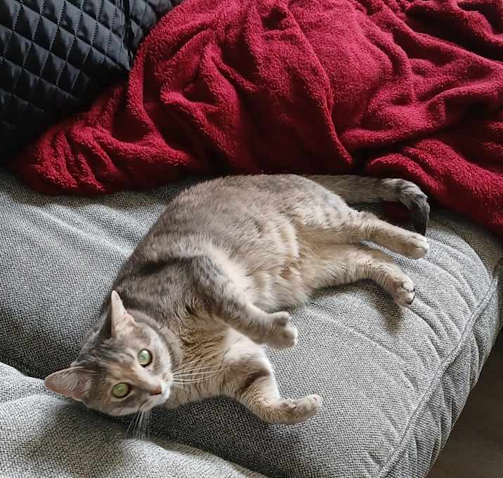 Photo of Kallie