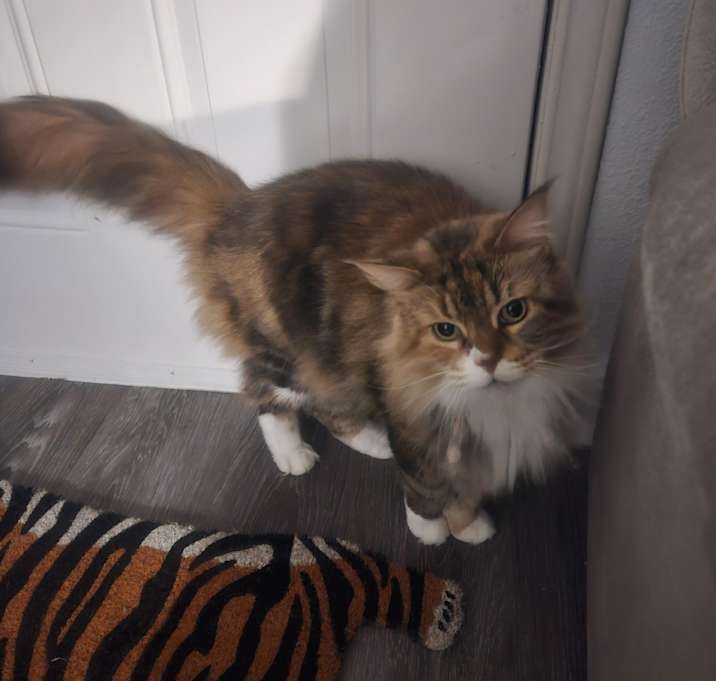 Photo of Lilla