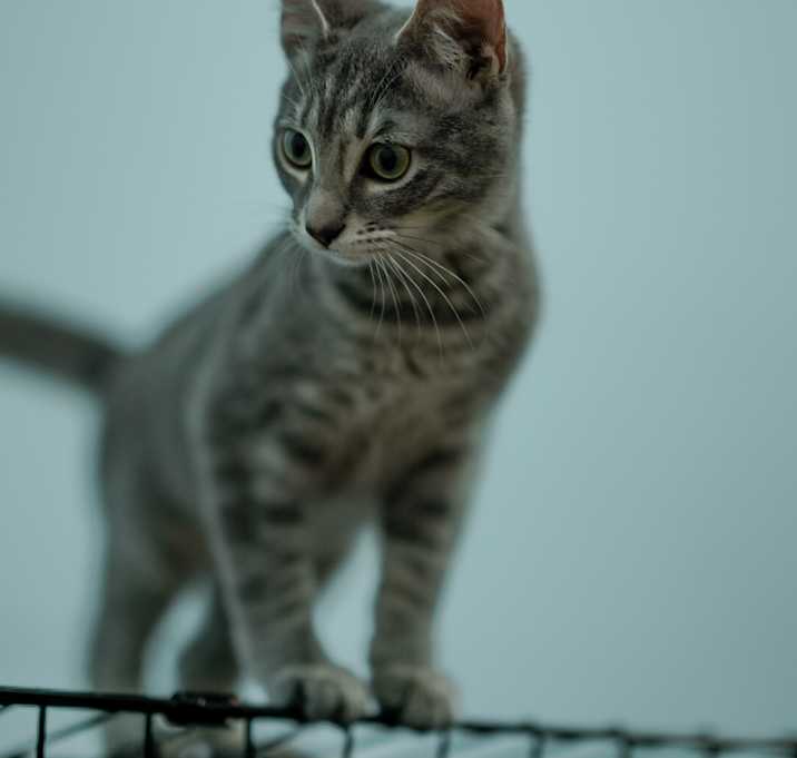 Photo of Chloe