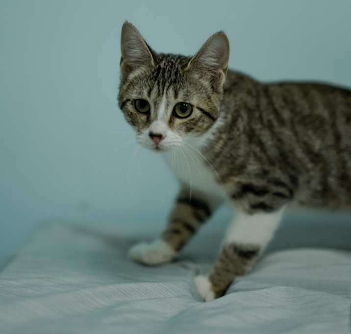 Photo of Clotho