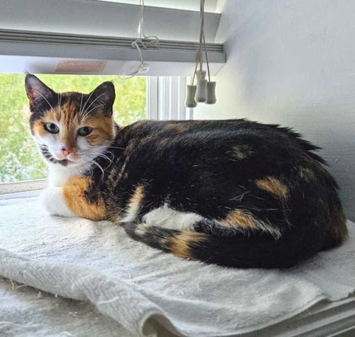 Photo of Zena