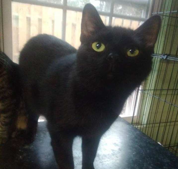 Photo of Darla