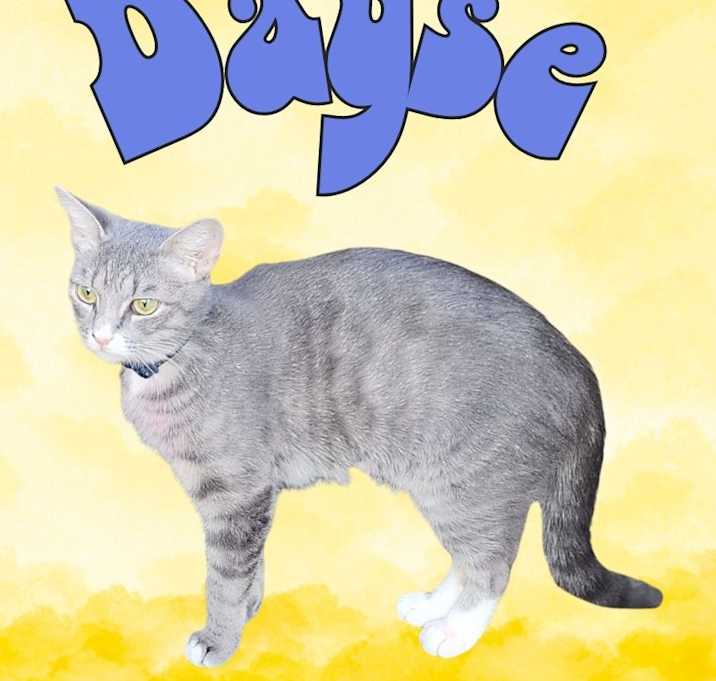 Photo of Dayse
