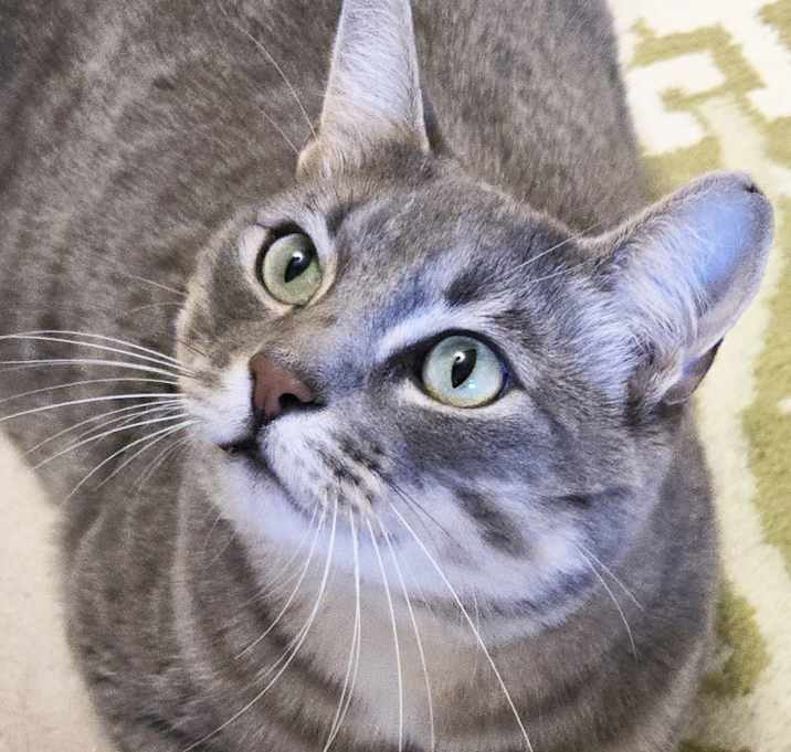 Photo of Finn