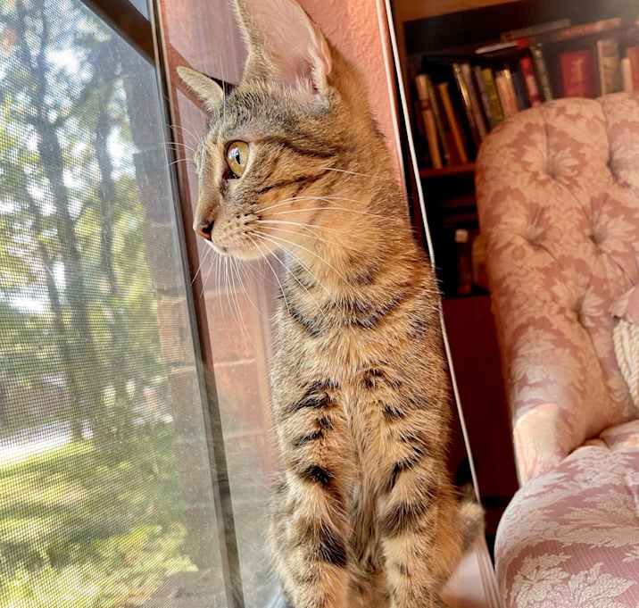 Photo of Hope