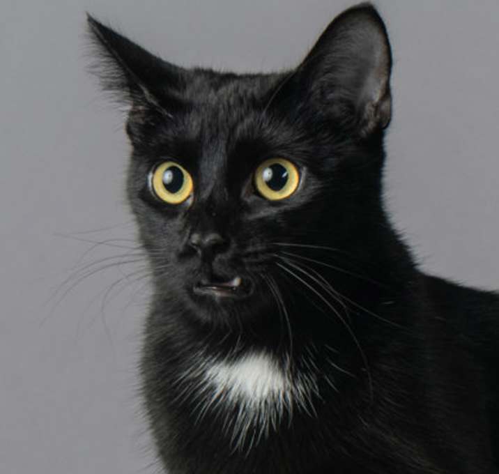 Photo of Giselle