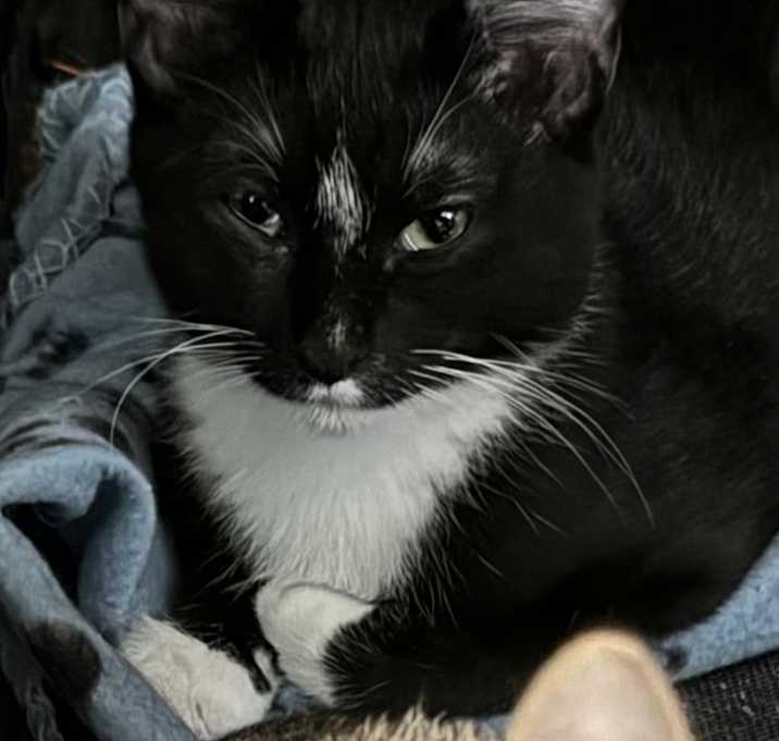 Photo of Finely
