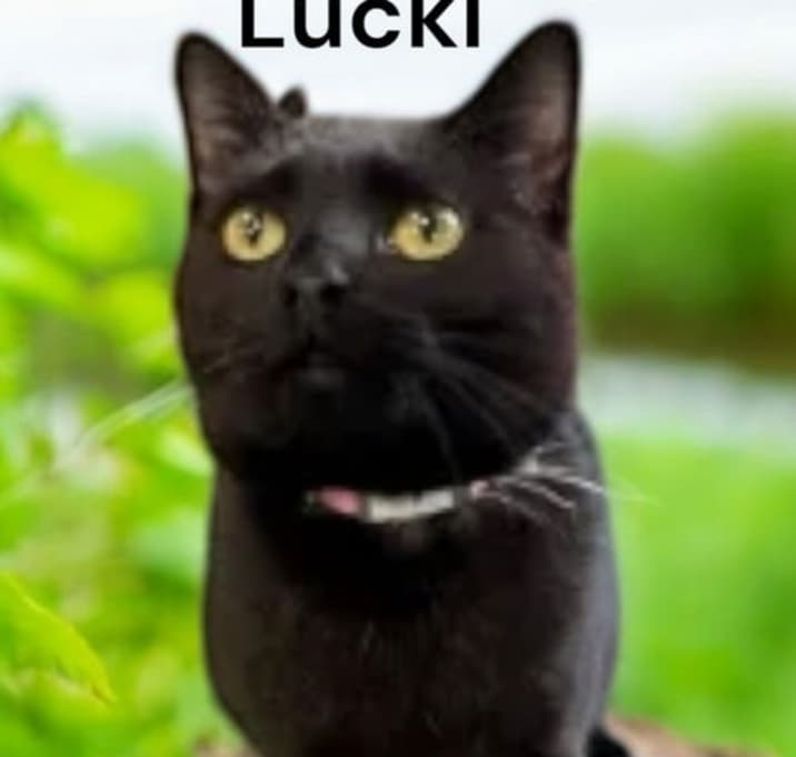 Photo of Lucki