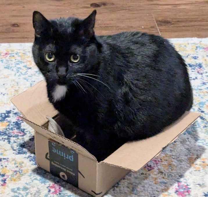 Photo of Princess