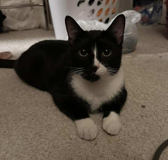 Photo of Allistair