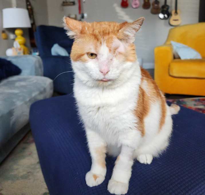 Photo of Bobbie