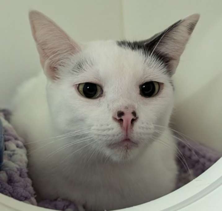 Photo of Pinky