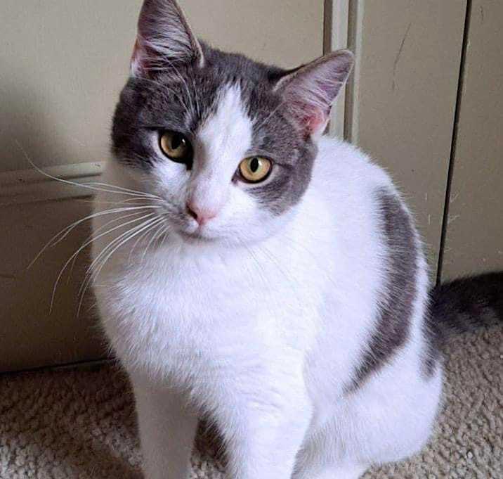 Photo of Princess