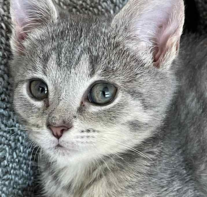 Photo of Paula