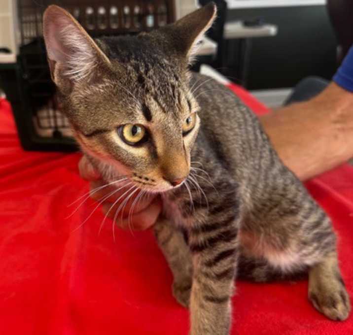 Photo of Fred