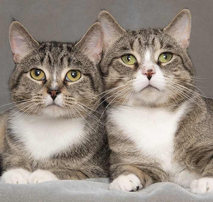 Photo of Phat and Slim