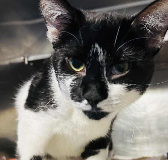 Photo of Maisey