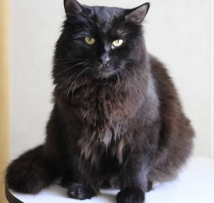 Photo of Maggie