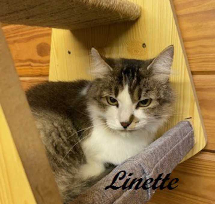 Photo of Linette