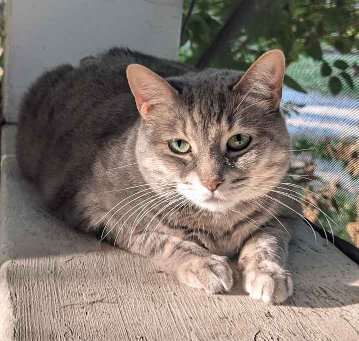Photo of Bean