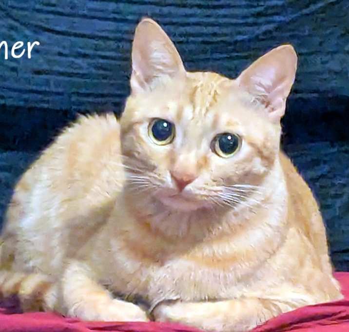 Photo of Asher