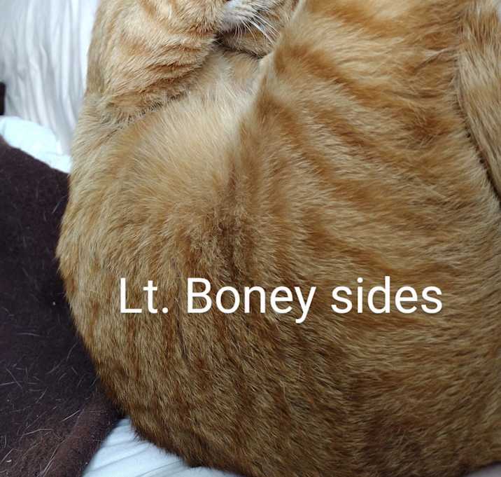 Photo of Lt. Boney Sides