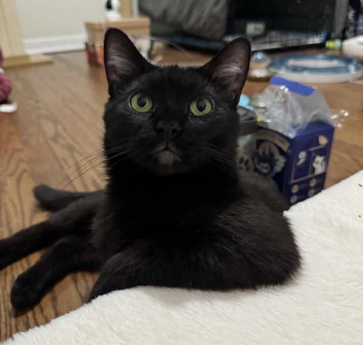 Photo of SPOOKY
