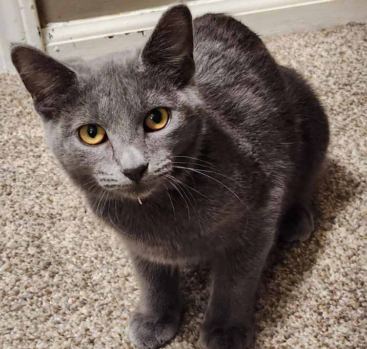 Photo of Silver