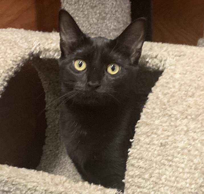 Photo of Evie