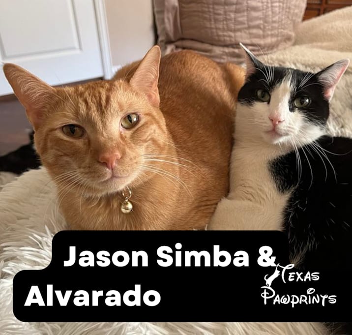 Photo of Bonded Alvarado & Jason Simba