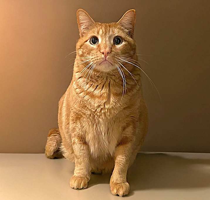 Photo of STEWART