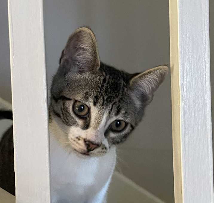 Photo of cass