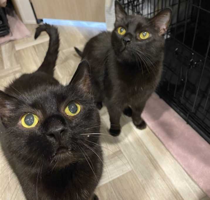 Photo of Oscar and Sebastian