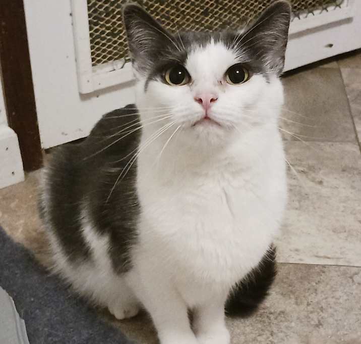 Photo of Marble