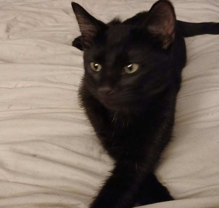 Photo of Solo!!