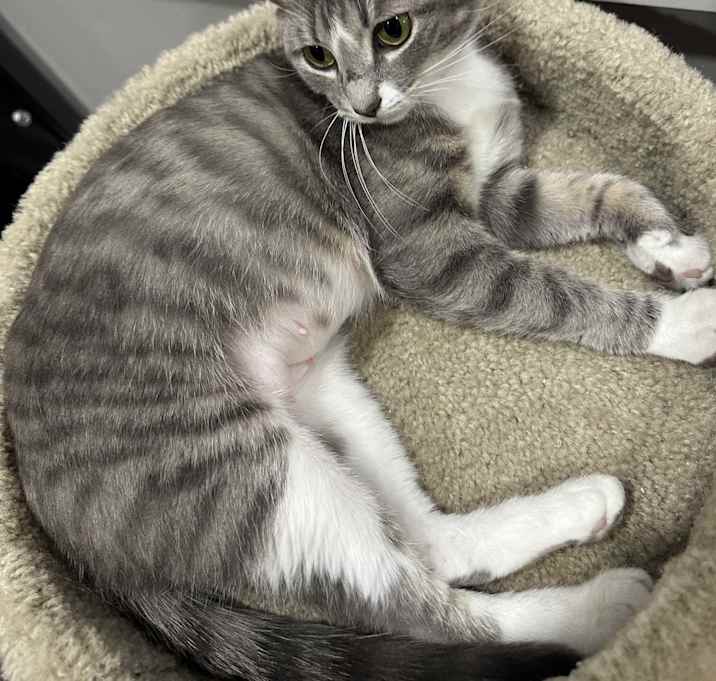 Photo of Penelope