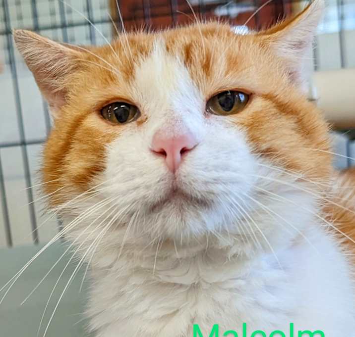 Photo of Malcolm