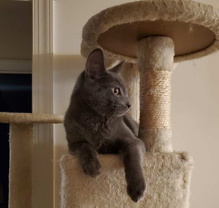 Photo of Slate