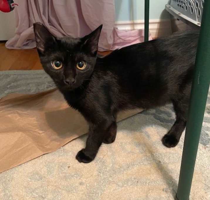 Photo of Leia