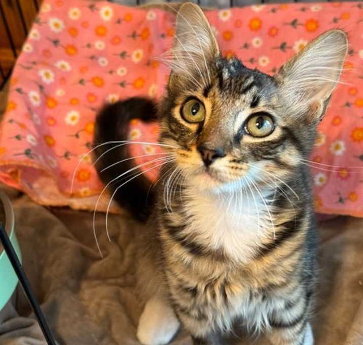 Photo of Gilligan