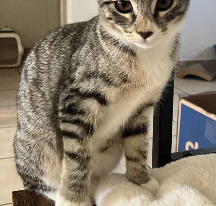 Photo of Dora