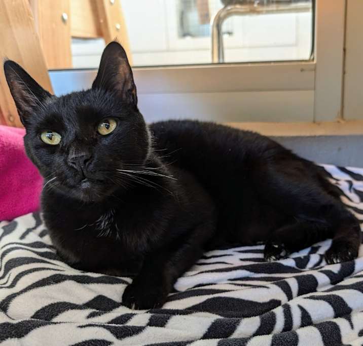Photo of Oliver