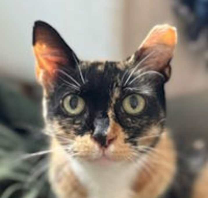 Photo of Polly