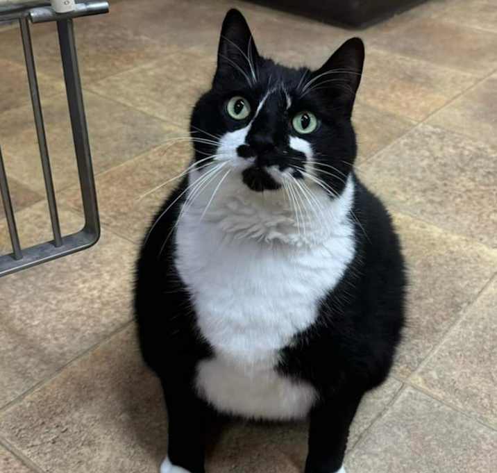 Photo of Rocky