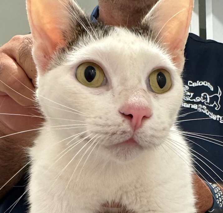 Photo of Frosty