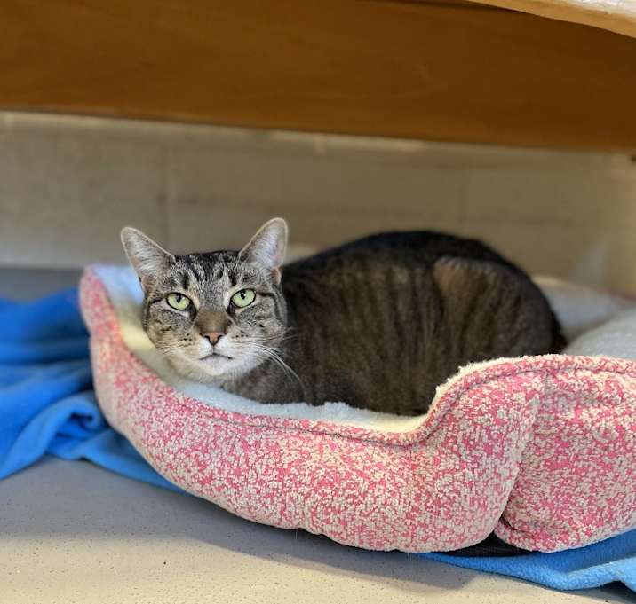 Photo of Kiki