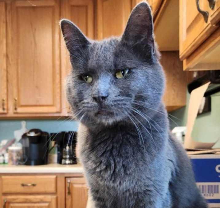 Photo of Elgie